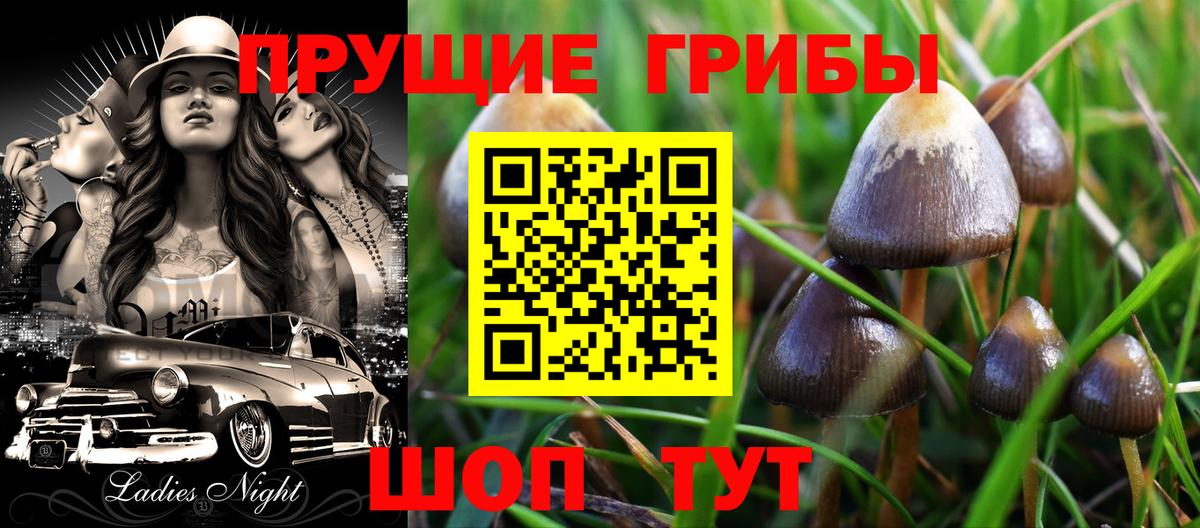 Галлюциногенные грибы ЛСД  Псилоцибиновые грибы Psilocybine cubensis  Вход с VPN  Абинск 