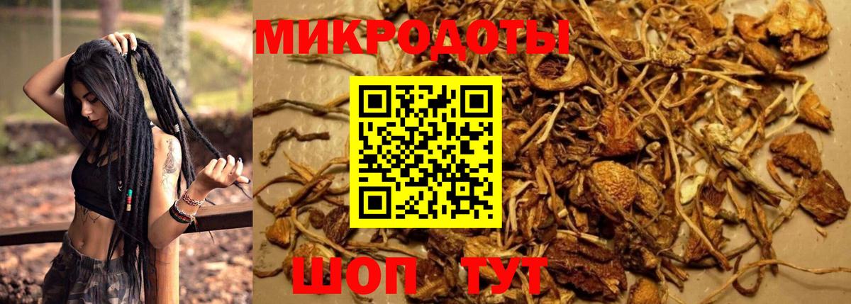 ГАШ  Абинск  ГАШИШ  ЭКСТАЗИ  МДМА  Кокаин  Вход с VPN  Меф   Мефедрон  Бошки Шишки 